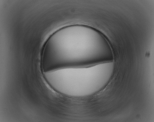 X0000093441508200710120935