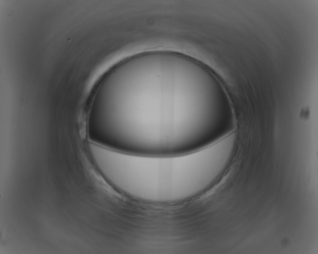 X0000093441510200710120935