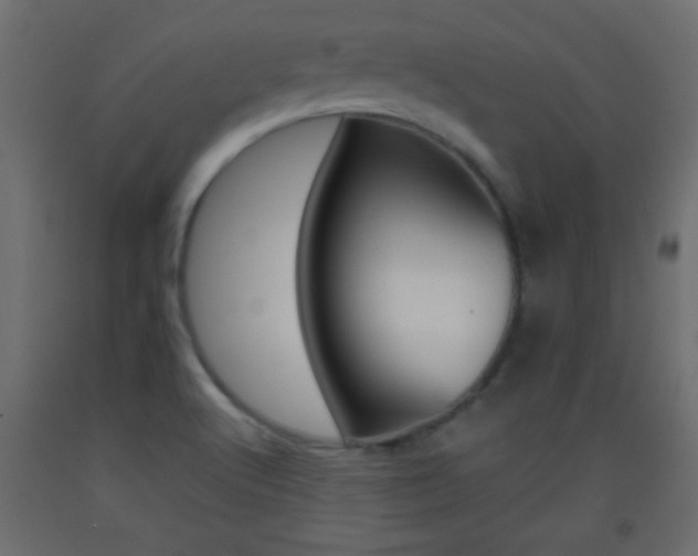 X0000093441512200710120935