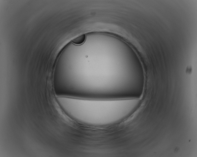 X0000093441513200710120935
