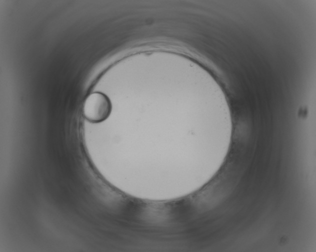 X0000093441514200710120935