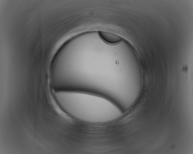 X0000093441515200710120935