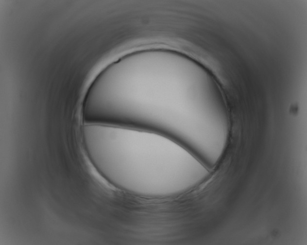 X0000093441516200710120935