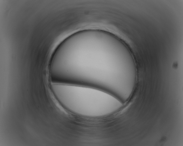 X0000093441517200710120935