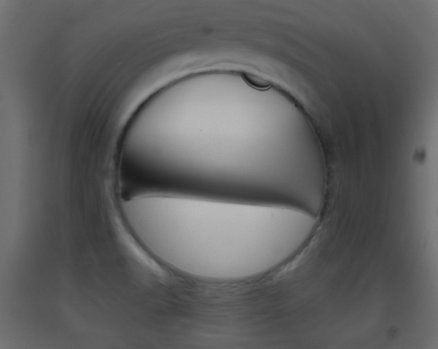 X0000093441518200710120935