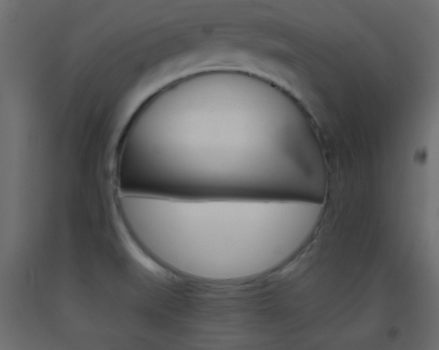 X0000093441519200710120935