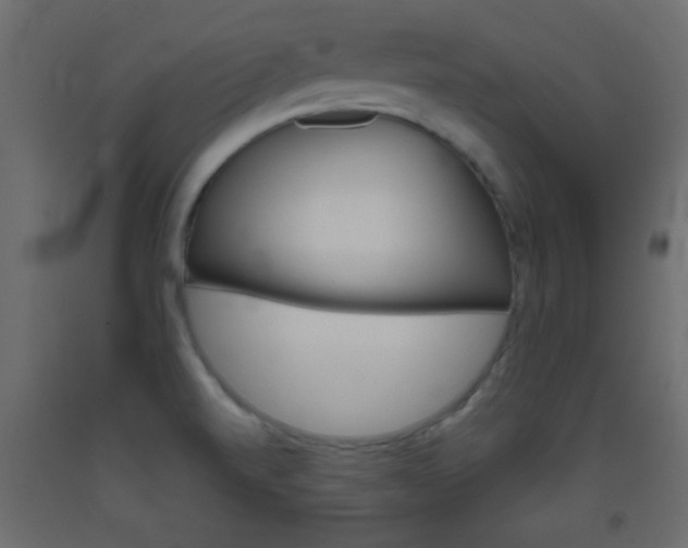 X0000093441520200710120936