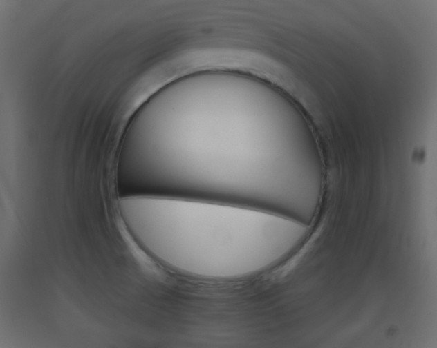 X0000093441521200710120936