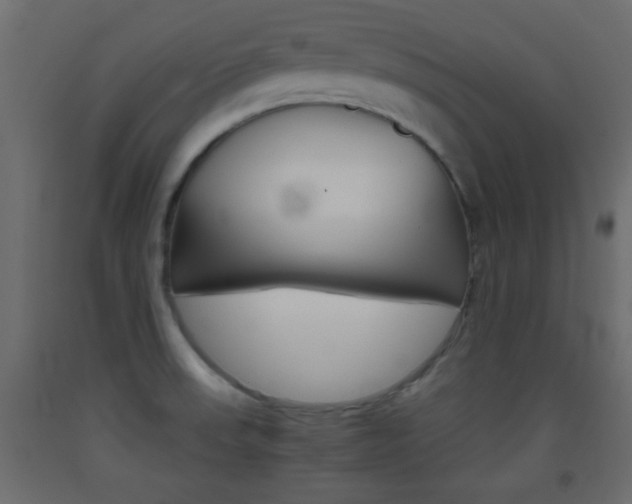 X0000093441523200710120936