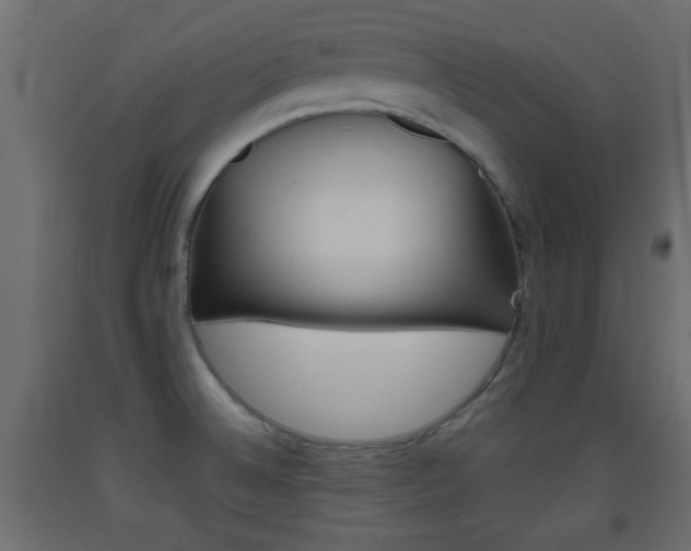 X0000093441524200710120936