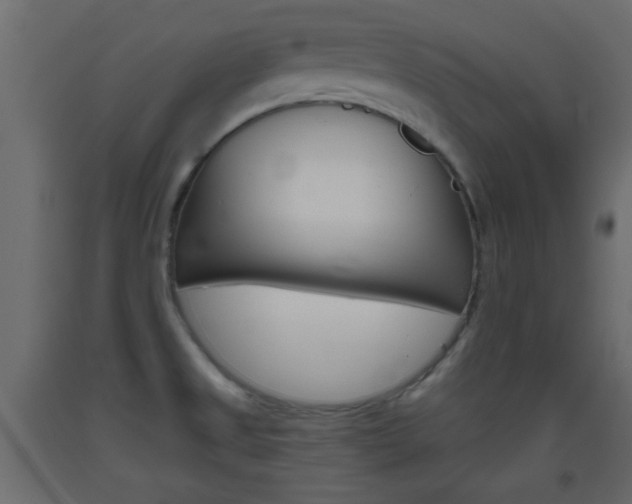 X0000093441525200710120936