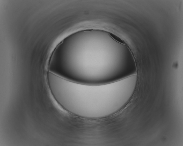 X0000093441528200710120936