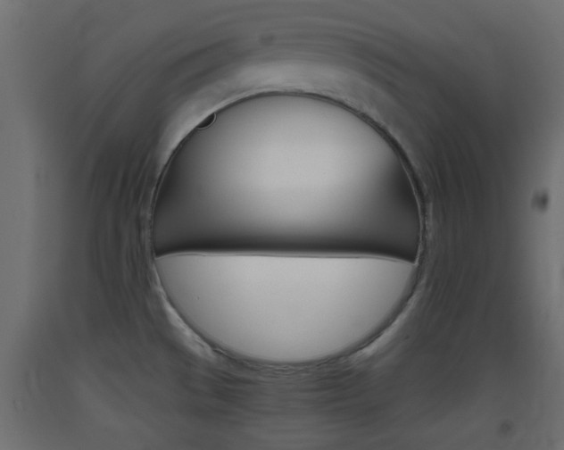 X0000093441529200710120936
