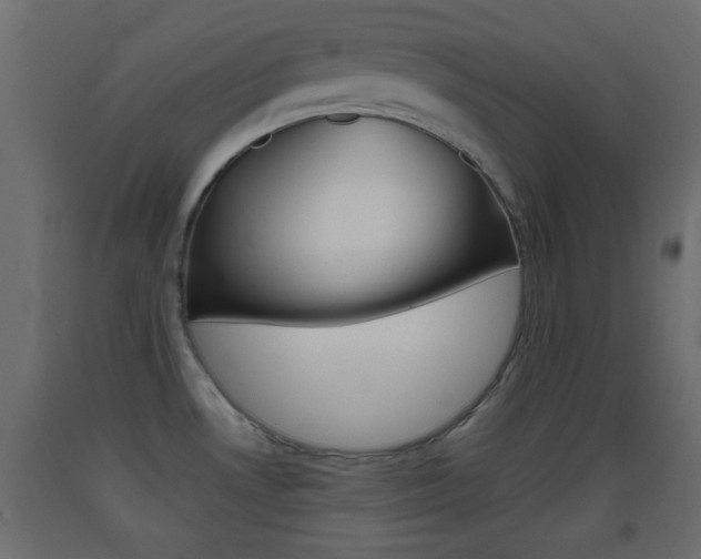 X0000093441530200710120936