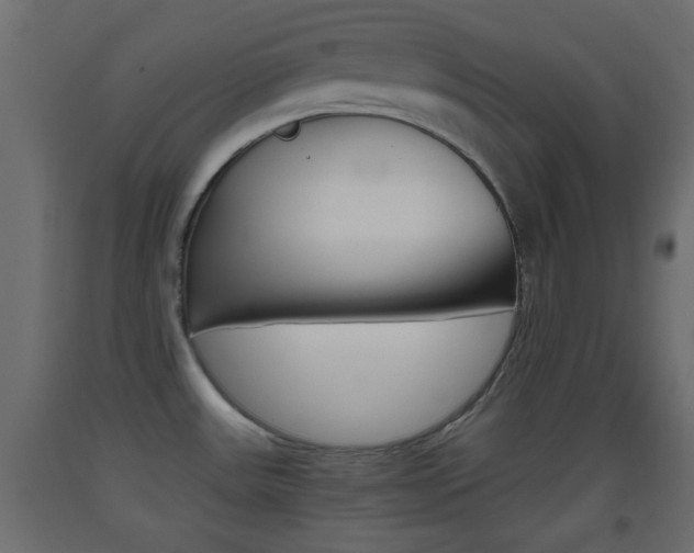 X0000093441531200710120936