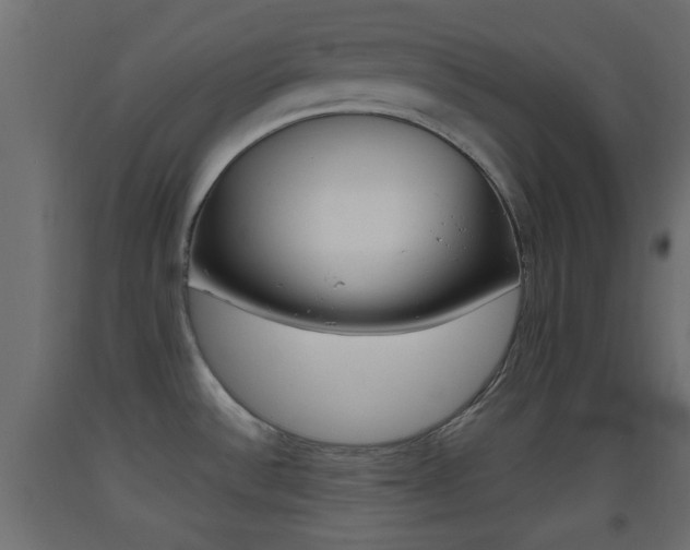 X0000093441532200710120936