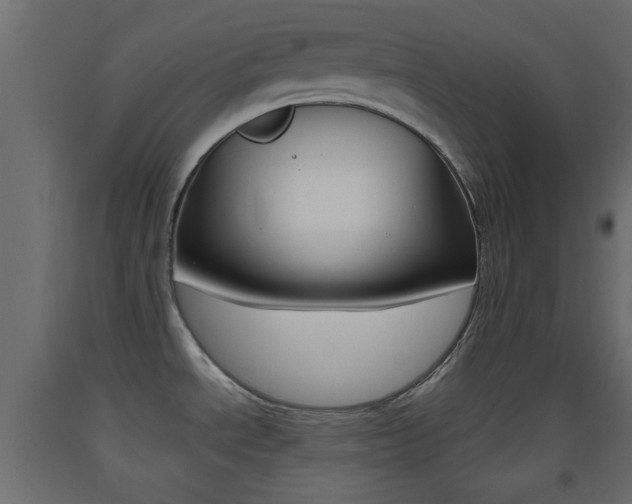 X0000093441534200710120936