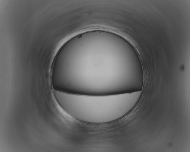 X0000093441535200710120936
