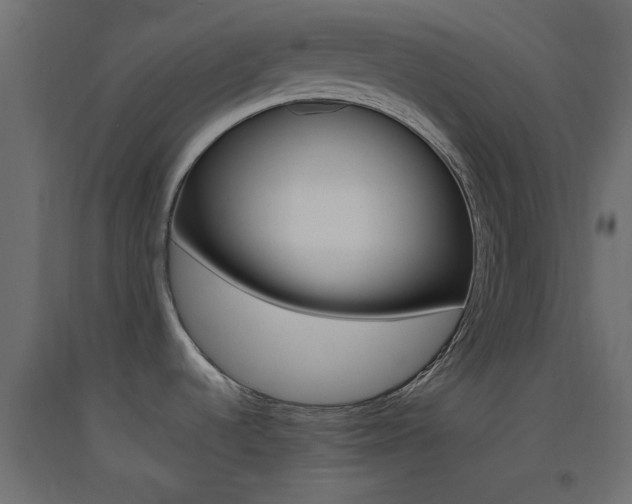 X0000093441536200710120936