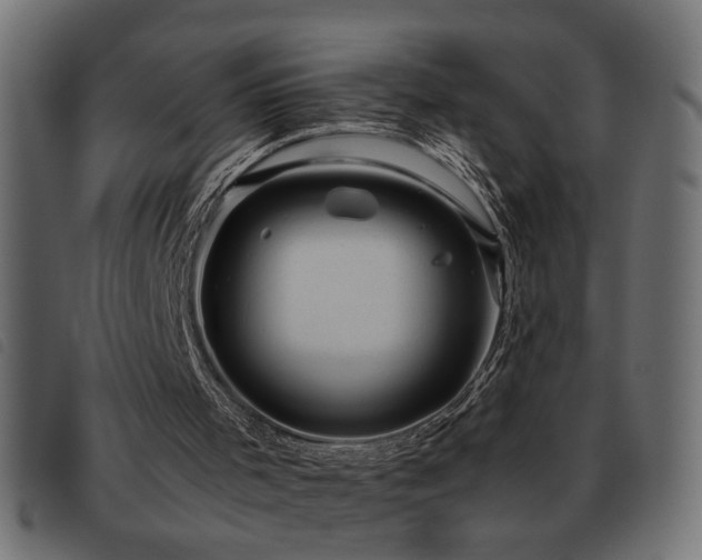X0000093440001200710121343