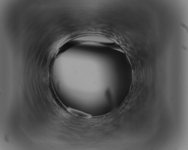 X0000093440005200710121343