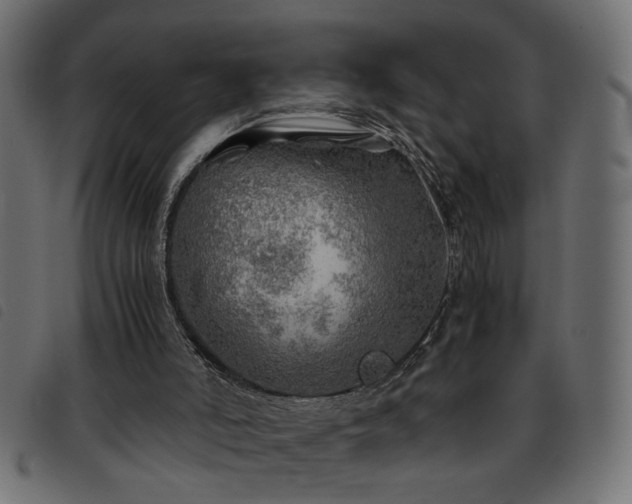 X0000093440006200710121343
