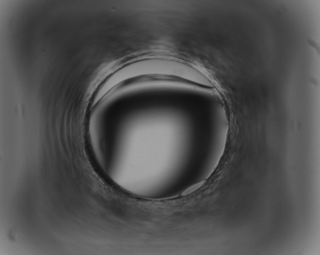 X0000093440007200710121343