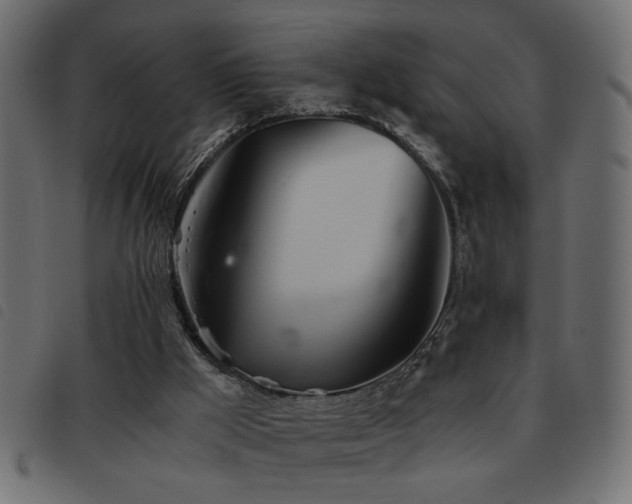 X0000093440009200710121343