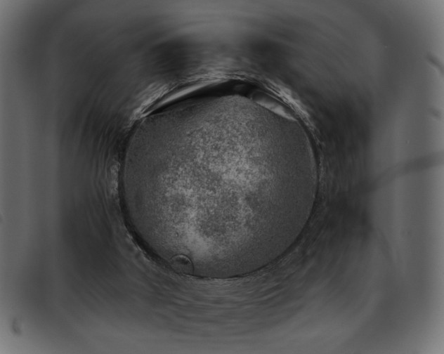 X0000093440010200710121343