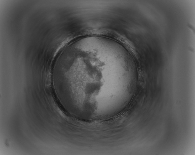 X0000093440012200710121343