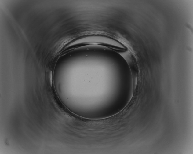 X0000093440013200710121342