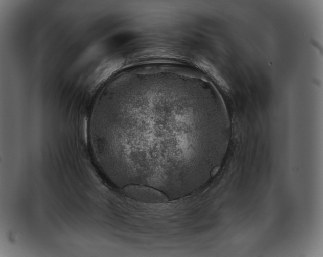 X0000093440014200710121342