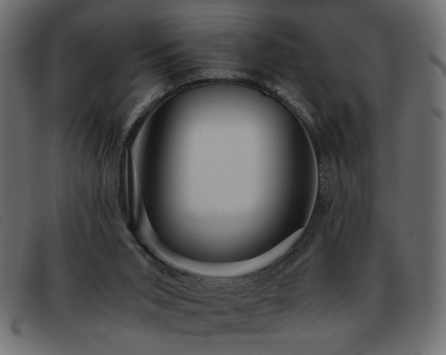 X0000093440015200710121342