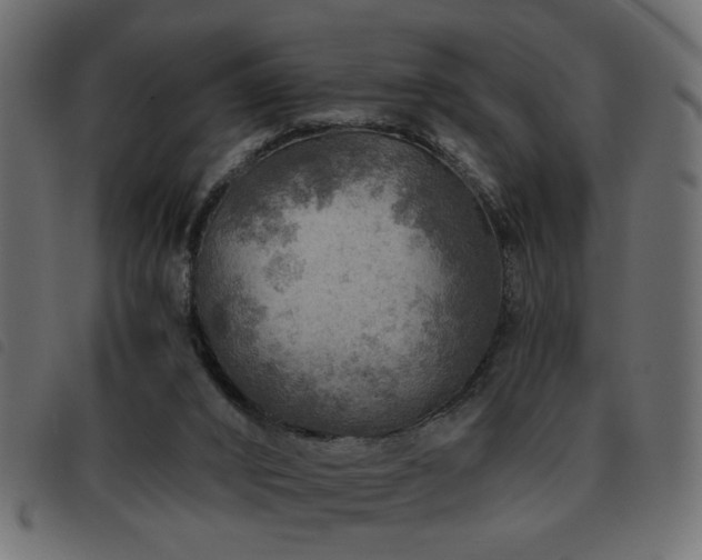 X0000093440016200710121342