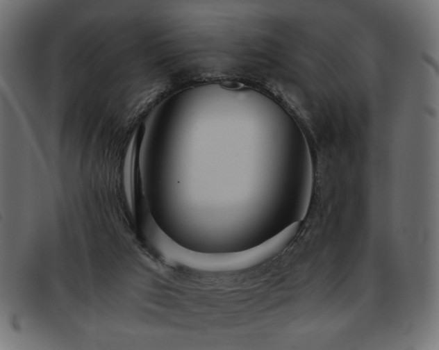 X0000093440017200710121342