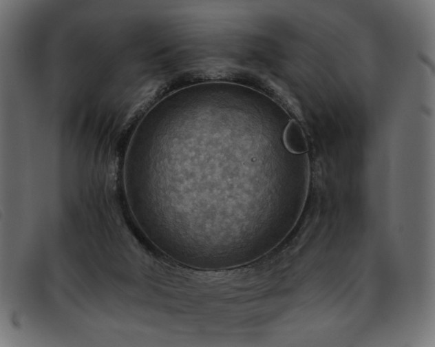 X0000093440018200710121342