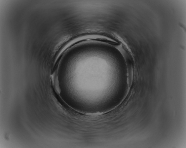 X0000093440019200710121342