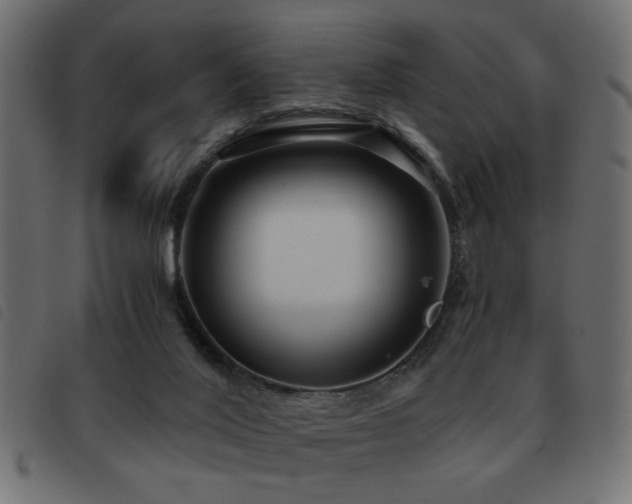 X0000093440020200710121342