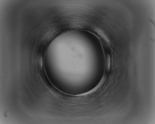 X0000093440021200710121342