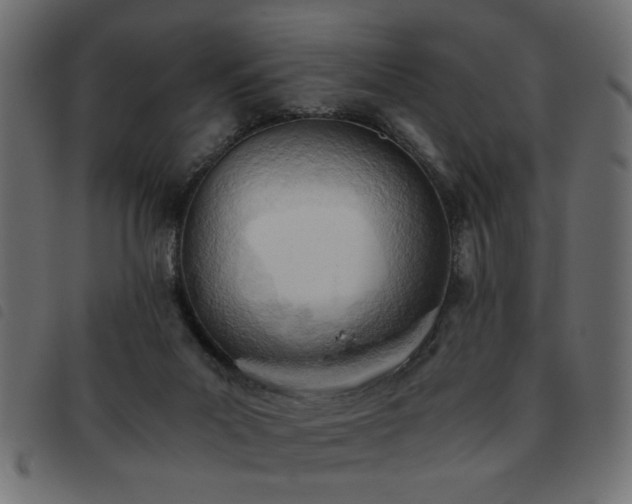 X0000093440023200710121342