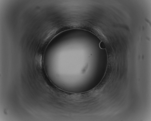 X0000093440024200710121342