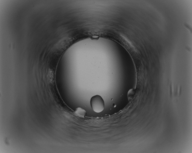 X0000093440025200710121342