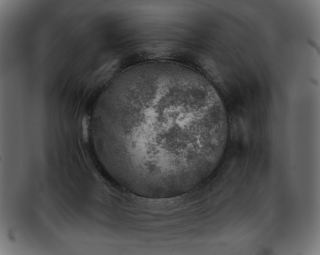 X0000093440026200710121342