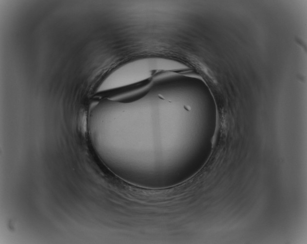 X0000093440027200710121342