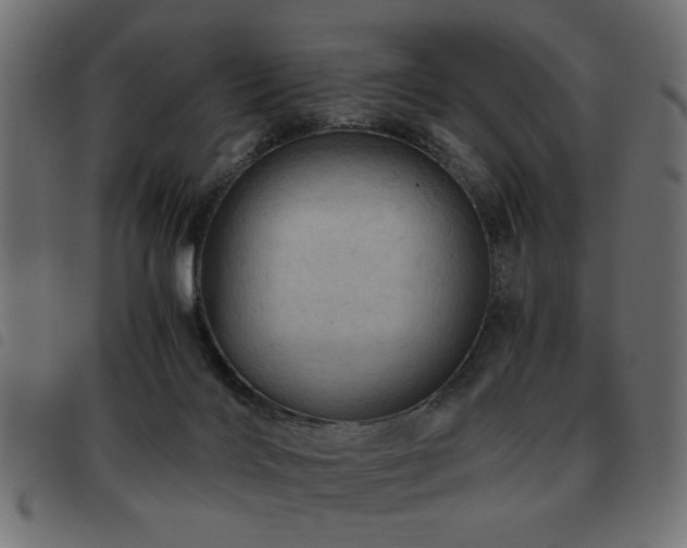X0000093440028200710121342