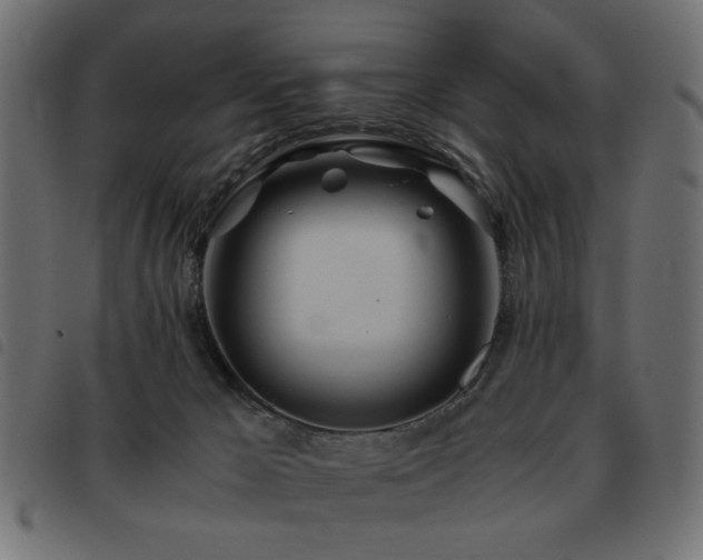 X0000093440029200710121342