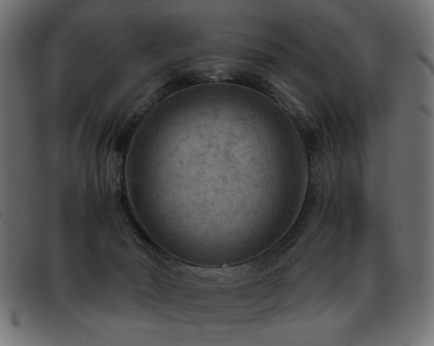 X0000093440030200710121342