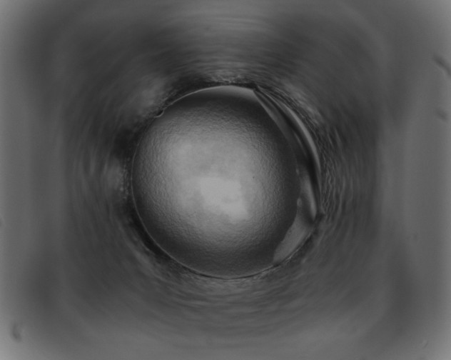 X0000093440031200710121342