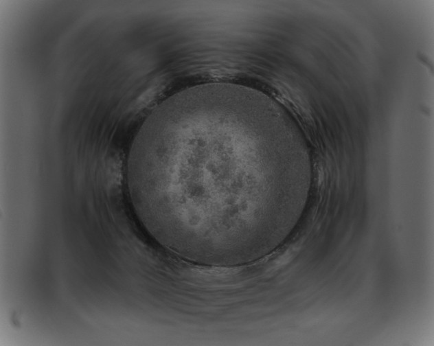 X0000093440032200710121342
