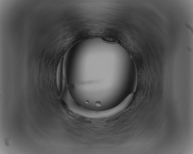 X0000093440033200710121342